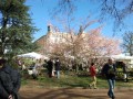 Détails : Foire aux Plantes Rares - Saint-PRIEST 2018