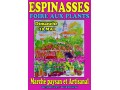Détails : Le Printemps d'Espinasses - 7eme foire aux plants