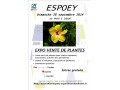 Détails : Exposition vente de plantes eu communes