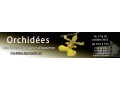 Détails : 11e Salon International d’Orchidées
