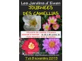 Détails : Journées des Camellias d'automne et d'hiver