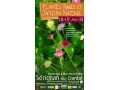 Détails : Plantes rares et jardin naturel