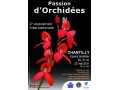 Détails : Orchidées 60: Accueil