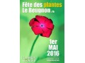 Détails : FÊTE DES PLANTES DU BEUGNON