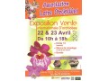 Détails : exposition internationale d'orchidées