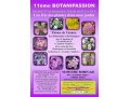 Détails : 11ème BOTANIPASSION