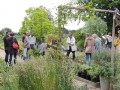 Détails : le rendez-vous du printemps à la pépinière ' Les Jardins D'en Face'