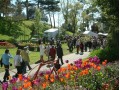 Détails : Marché aux fleurs