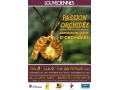 Détails : Exposition PASSION ORCHIDEE à Louveciennes du 8 au 10 février 2019