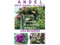 Détails : Marché régional aux plantes