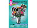 Détails : Foire aux plantes de Villeneuve su Vère
