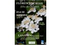 Détails : Florescence