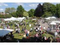 Détails : Plantes en fête à l'abbaye d'Autrey